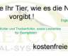 Wellness von innen - gesund füttern...